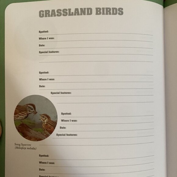 Birdwatching Notes 📕 Book - Picture 5 of 7